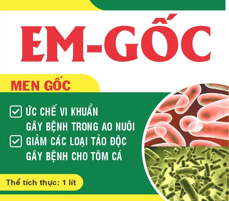 EM GỐC