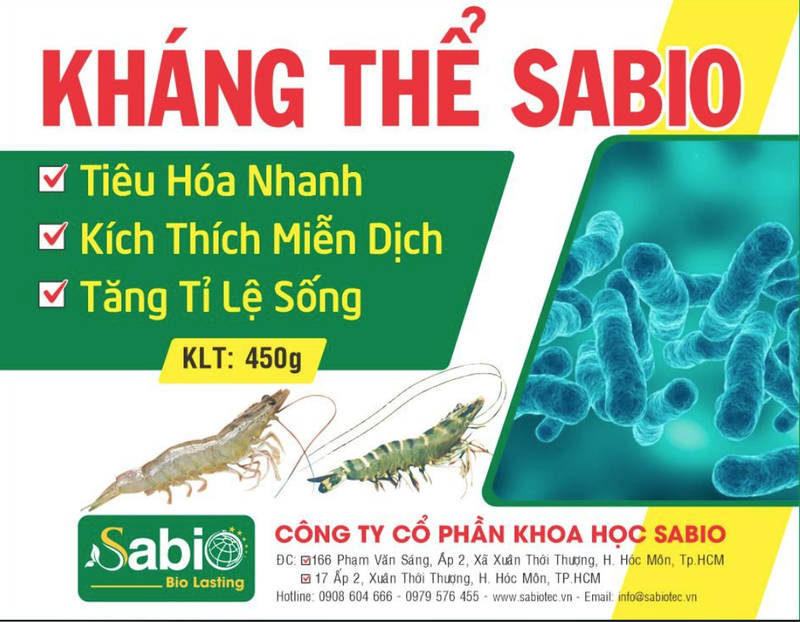 KHÁNG THỂ SABIO