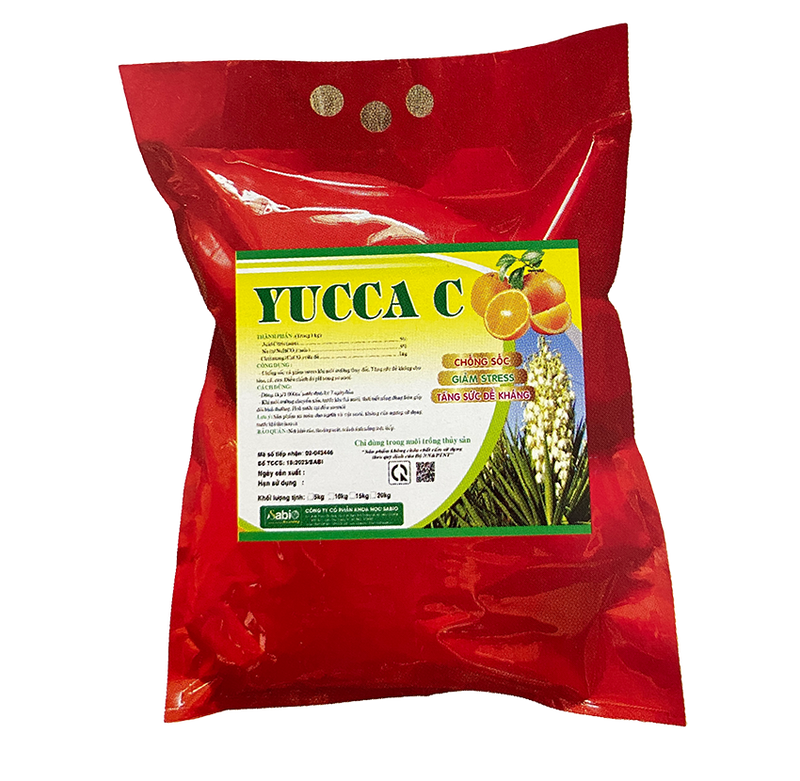 YUCCA C