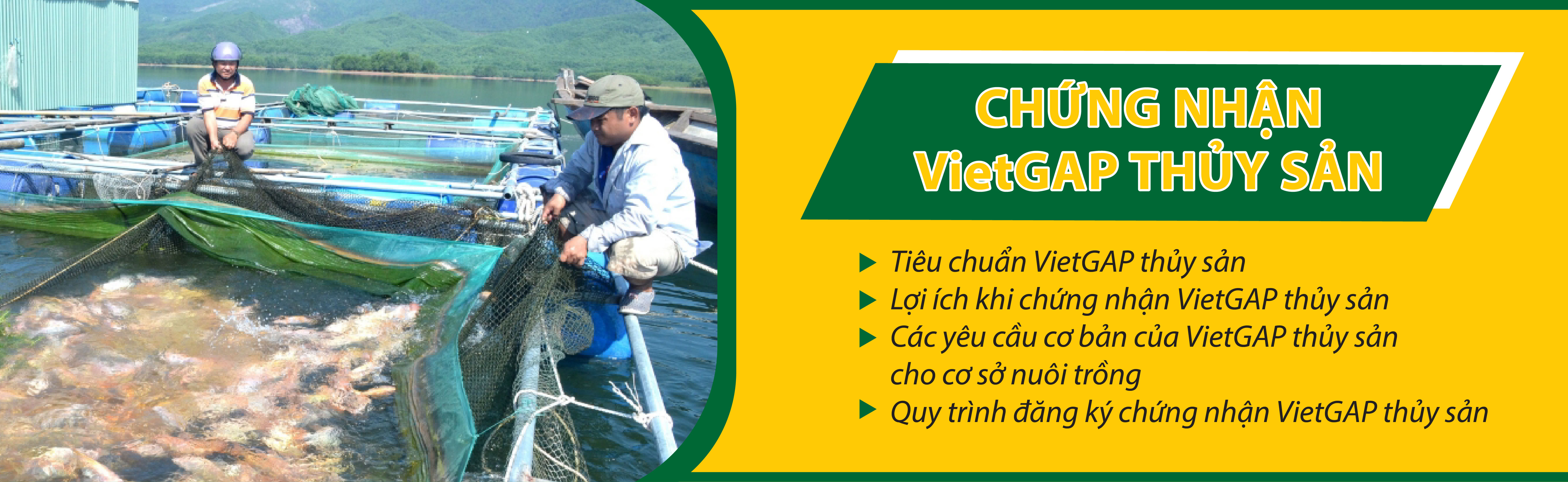 Chứng nhận VietGAP thủy sản